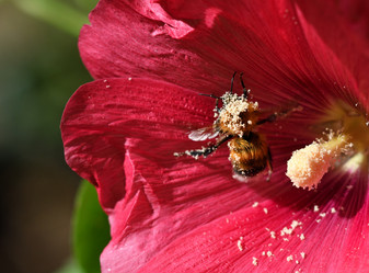 Similar image 21070439