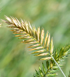 Similar image 21070441