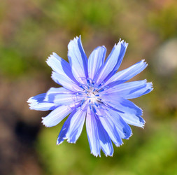 Similar image 21070443