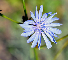 Similar image 21070445