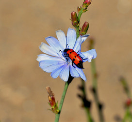 Similar image 21070446