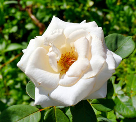 Similar image 21068890