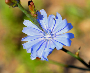 Similar image 21068891