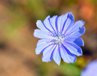 Similar image 21068892