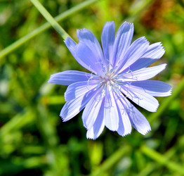 Similar image 21068893