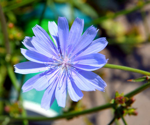 Similar image 21068894