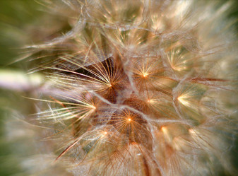 Similar image 21068895