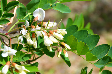 Similar image 21070164