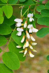 Similar image 21070166