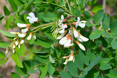 Similar image 21070167