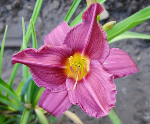 Similar image 21070168