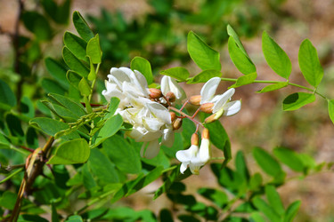 Similar image 21070169