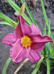 Similar image 21070171