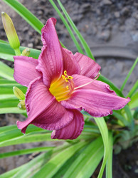 Similar image 21070172