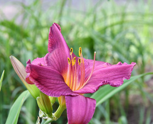 Similar image 21070174