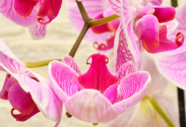 Similar image 21070175