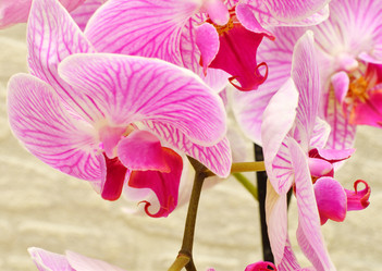 Similar image 21070177