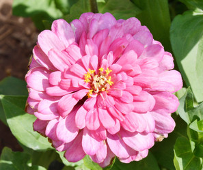 Similar image 21070178