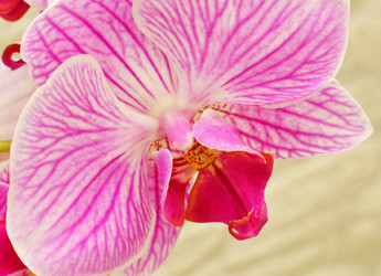 Similar image 21070179