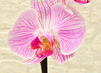 Similar image 21070181