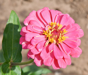 Similar image 21070182