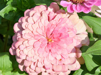 Similar image 21070183