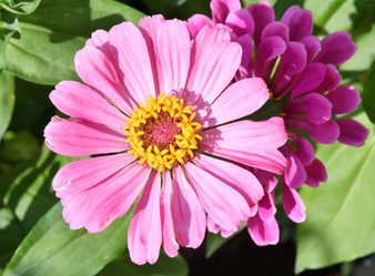 Similar image 21070184