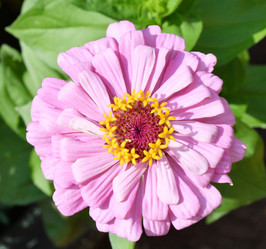 Similar image 21070186