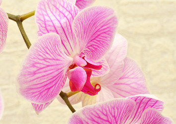 Similar image 21070187