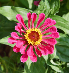 Similar image 21070188