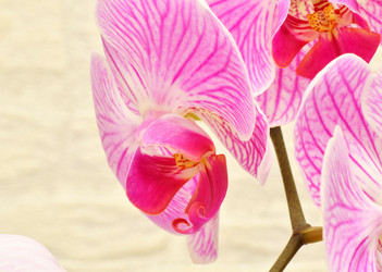 Similar image 21070189