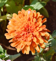 Similar image 21070190