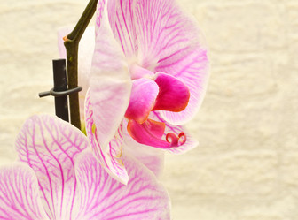 Similar image 21070191