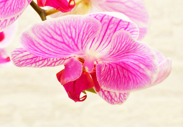 Similar image 21070193