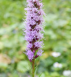 Similar image 21070194