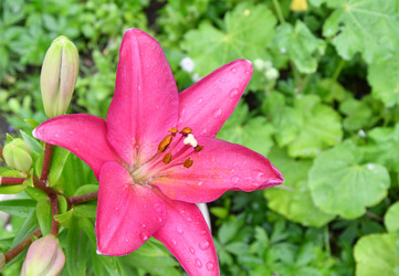 Similar image 21070195