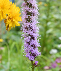 Similar image 21070196