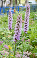 Similar image 21070197