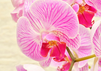 Similar image 21070198