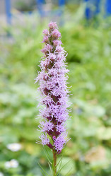 Similar image 21070199