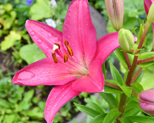 Similar image 21070200