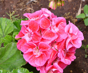 Similar image 21070341