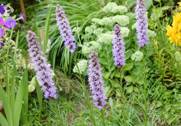 Similar image 21070342