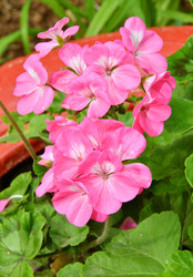 Similar image 21070343