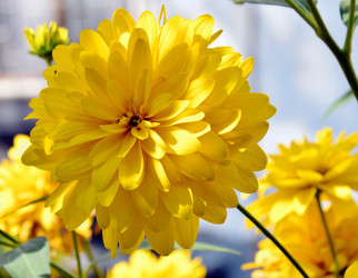 Similar image 21070344