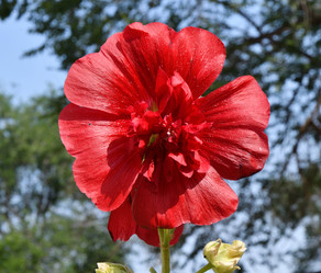 Similar image 21070355