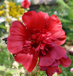 Similar image 21068897