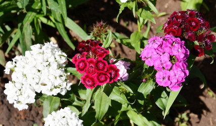 Similar image 21068899