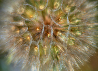 Similar image 21068901