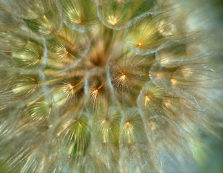 Similar image 21068902